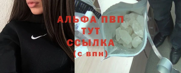 индика Видное