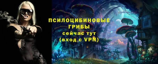 MDMA Нязепетровск