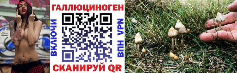 Псилоцибиновые грибы MAGIC MUSHROOMS  мега как войти  Катав-Ивановск 